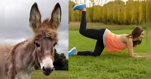 Donkey kick exercise: कैसे की जाती है डॉन्की किक, जो पिघला देगी चर्बी, मिलते हैं ये खास फायदे