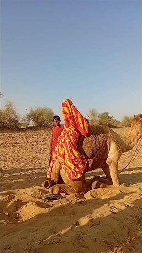 قفزة جميلة من فوق الجمل#shorts