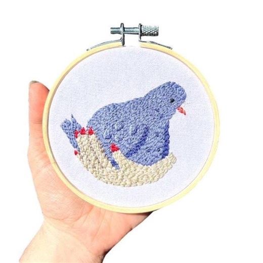 A Bird in the Hand Embroidery | Floss DIY Kit - Etsy
