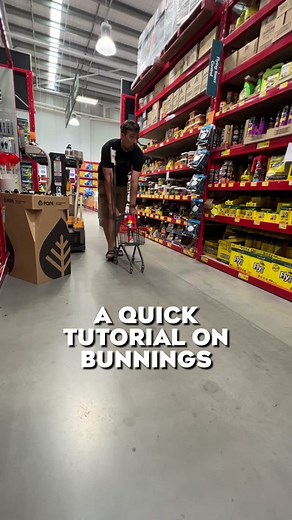 Bunnings How-To-Guide: Easy Tips and Hacks for Insect Problems