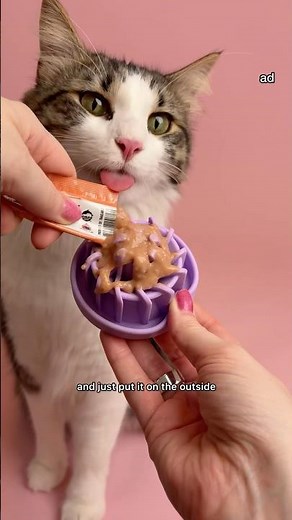 Lickable treats 3 ways for cat enrichment
