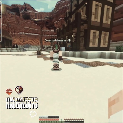 Exploring the Solidarity Gaming Trend with SmallishBeans