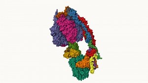 Looping 3d Animation Atp Synthase Complex Stock Footage Video (100% Royalty-free) 3757793893 | Shutterstock