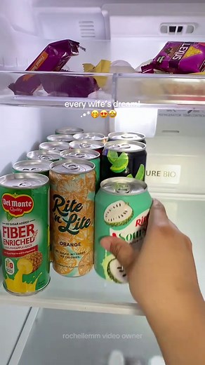 Ultimate Refrigerator Restock Experience 😍
