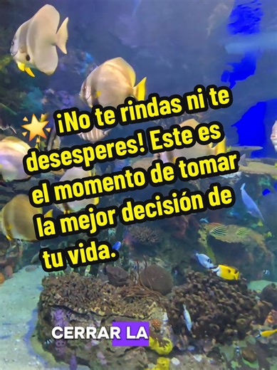 🌟 ¡No te rindas ni te desesperes! Este es el momento de tomar la mejor decisión de tu vida. 🌟 Si alguna vez soñaste con tener tu propio negocio, viajar por el mundo y ayudar a otros a crear experiencias inolvidables… ¡hoy es tu oportunidad! 👉 Inscríbete ahora para poner tu propia agencia de viajes y forma parte de una industria que no para de crecer. Con una inversión inicial especial de solo $49.99, puedes comenzar tu camino como emprendedor en el mundo del turismo. ✨ ¿Por qué ahora? 📈 El t