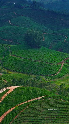 Munnar Signal Point 📍