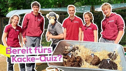 KiKA LIVE: Im Zoo mit "Elefant, Tiger & Kids"