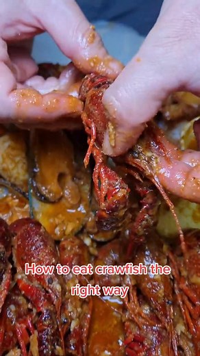eating crawfish the right way #asmr #mukbang #xyzbca #foodtiktok #viral #foryoupage #lasvegas #seafood #seafoodboil #crawfish #lobstertail | The Crawfish Mukbangs Louisiana