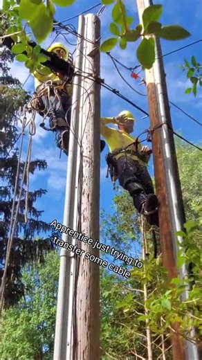 LineCrate on Instagram: "day in the life of a lineman apprentice #apprentice #lineman #linemanapprentice #apprenticelife #linecrate #linemanlife"