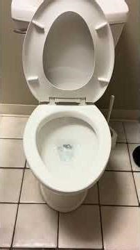 American Standard TP test