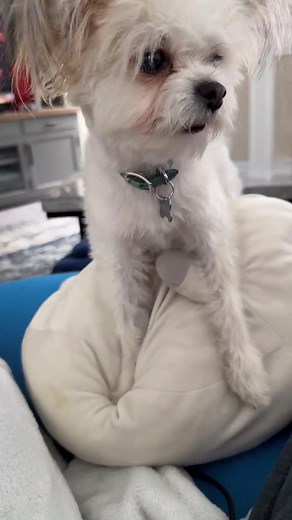 comfy little cozzy 😘