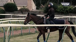 Watch: The ultimate Enable package! 🏇💨 Past, present and future: The full story of Enable >>> https://www.racingtv.com/videos/watch/ondemand/77409 Juddmonte Farms special – Part 1 >>> https://www.youtube.com/watch?v=_sW5x_K82Jk&t=9s Juddmonte Farms special – Part 2 >>> https://www.youtube.com/watch?v=5UQdMSv7-lw | Racing TV