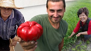 Con 500 progetti di tutela nel mondo, i Presìdi Slow Food coinvolgono più di 13.000 realtà produttive. Una rete mondiale che condivide e tramanda conoscenze, metodi di produzione sostenibili e, naturalmente, un patrimonio fatto di eccellenze gastronomiche. I produttori dei Presìdi, con il loro lavoro, sostengono l’economia locale, producono reddito, tutelano l’ambiente e la biodiversità. Scopri tutti i progetti della nostra Fondazione per la Biodiversità Onlus https://www.fondazioneslowfood.com/