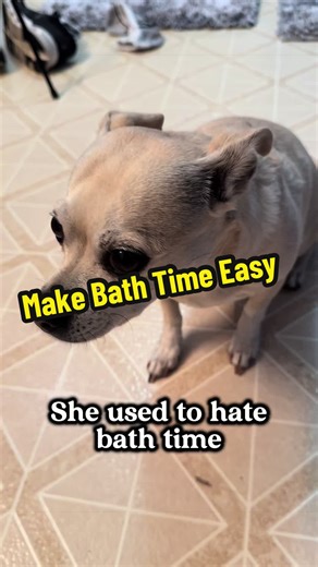 Make Dog Bath Time Easy with This Simple Trick