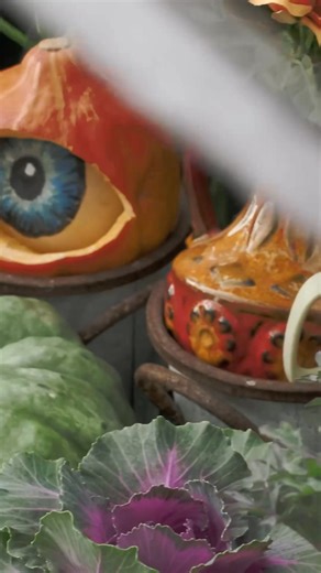 4.8K views · 20 reactions | Look what our web camera caught! Get inspired for a spine-chilling entrance ️ https://brnw.ch/21wWKlM | Flying Tiger Copenhagen | Facebook