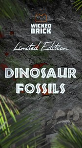 Our Limited Edition display case for the LEGO Jurassic World: Triceratops Fossil set launches on January 14th 🦴 Prepare to showcase the latest addition in the Jurassic World Fossil series with our bespoke display. We've also got a Limited Edition dual display for both Fossil sets launching on the same day! Keep an eye out for the full reveal content coming soon. Head to the link to get signed up for a launch notification now! Triceratops ➡️ http://bit.ly/WB-LE-TriceratopsSkull Dual display ➡️ h