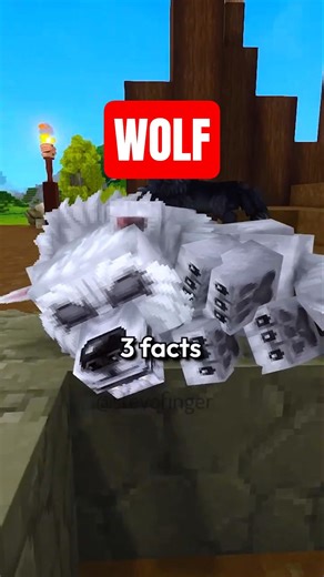 3 Facts About Wolves in Hytale #shorts