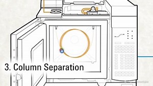 Fundamentals of GC - Introduction and Overview on Make a GIF