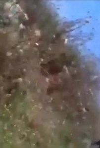 Soldiers Were Hit By Tank Shots During The War