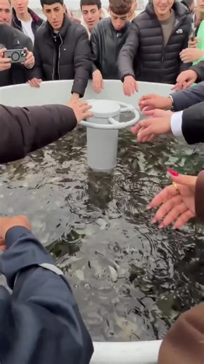 Flushing Fish To Save The Lake: Innovative Strategies