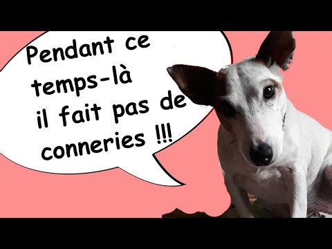 [FR] libre antenne si vous voulez