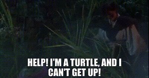 YARN | | | Video clips by quotes | b3387e1d | 紗