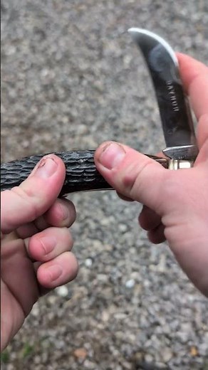 Beautiful Saynor Pruner Knife #shorts