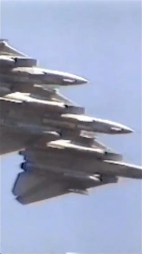 [F-14s That Flew in Japan] The 1990s: When the F-14 Tomcat Took to the Skies at the Atsugi Air Show