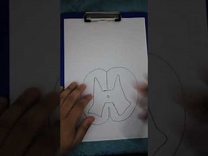 spinal cord 4 (lesions &clinical notes)