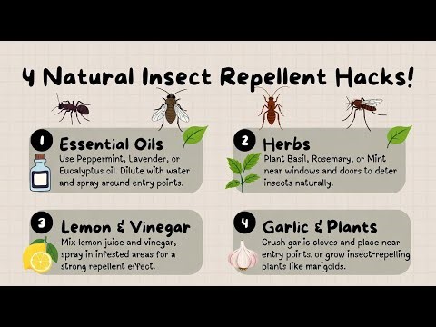 4 Natural Insect Repellent Hacks! 🐜🪰🪳🦟 | Easy Home Remedies That Actually Work