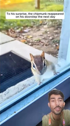 The man rescued a chipmunk caught in trap