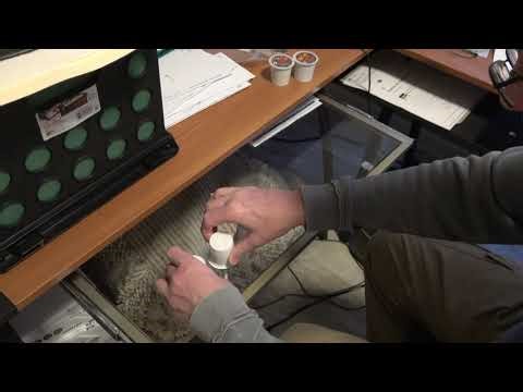 Why does a negative times a negative equal a positive? And, more audio content coming up ...