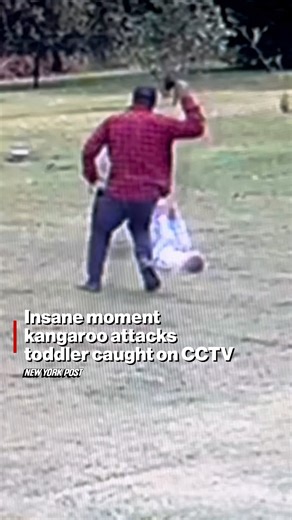 Insane CCTV footage has captured the horrific moment a toddler was attacked by a wild kangaroo in New South Wales. | New York Post Health & Parenting