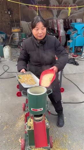 Maximize Efficiency with Our Feed Pelletizer Machine