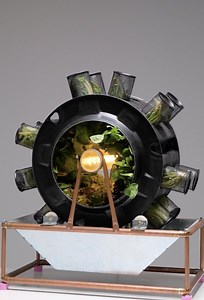 23K views · 59 reactions | The coolest recycled DIY projects you’ll want to try | 5-Minute Recycle | Facebook