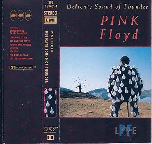 Pink Floyd - Delicate Sound Of Thunder