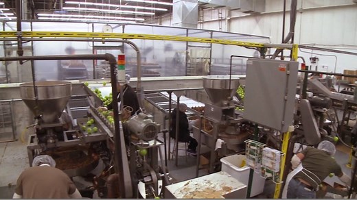 20K views · 476 reactions | Ever wonder how we make all those Affy Tapples? | Affy Tapple - The Original Caramel Apple! | Facebook