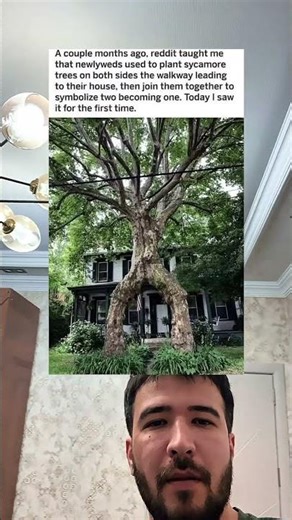 Newlyweds Symbolize Unity With Sycamore Trees #shorts #zaralarsson