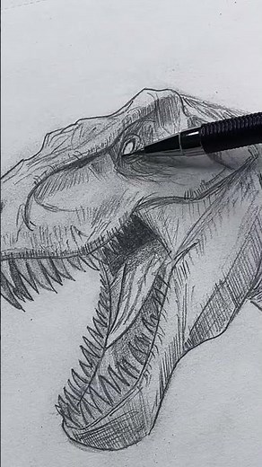 Tyrannosaurus rex Sketch 🦖