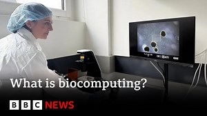 What is biocomputing? | BBC News - ehkou.com