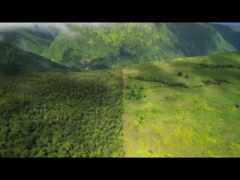 Empowered Hawaii: A Climate for Change