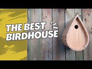 Birdhouse to Brighten Your Backyard: Unleash Your Creativity