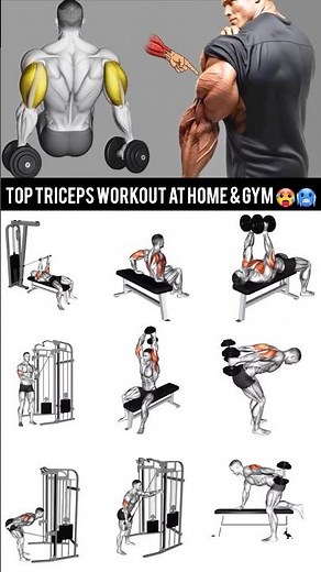Top Triceps Workout at Home & Gym | Bigger Arms Fast 💪🔥