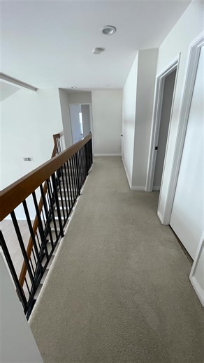 NEW SERVICE: Carpet & Upholstery Cleaning — Eco & Professional! We...