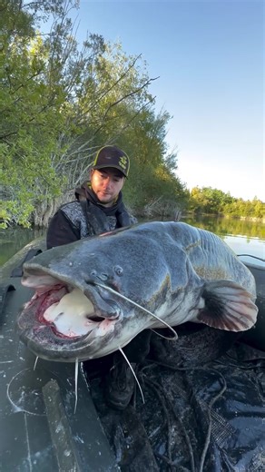 This CATFISH was MASSIVE😳 I Was NOT Prepared for This Catfish🤯. Some fish stay with you forever - and this one instantly earned its place at the top. I’ve landed many catfish over the years, but nothing prepared me for the sheer scale of this river giant. Its length, mass, and raw power were on another level, making this one of the most unforgettable catches I’ve ever experienced. I was vertical fishing when an enormous shape appeared on the fishfinder. For a split second, I thought the riverb