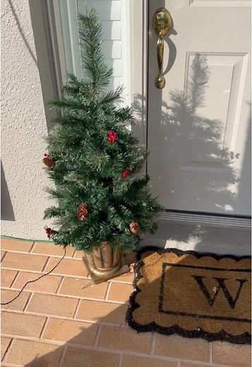 I could not believe I found this Christmas set! I have been wanting Christmas trees for my front porch and these were perfect!