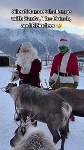 Silent Dance Challenge with Santa, The Grinch and Real Reindeer! Wait to see what song TikTok picked for them! 🤣 #Silent #Silence #SilentDance #DanceChallenge #TikTok #Grinch #Santa #Reindeer #Alaska #Christmas #Holiday | Williams Reindeer Farm