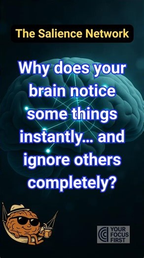 Why does your brain notice some things instantly and ignore others completely?
