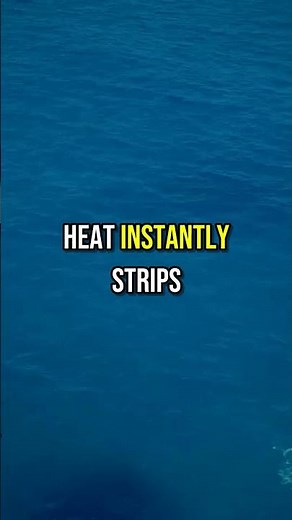 Burning Magnesium's Secret: Why Water Makes it Explode