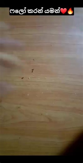 butterfly😬😬😬 #asmr #asmrsounds #fyp #viral #tranding #foodie #food #snack #yummy #top #testy #good | Fantasy Lifestyle Cloud